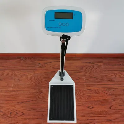 Digital Weighing Scale (Adult)